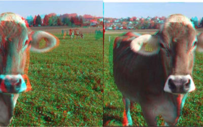 3D-TV RnD Activities in Europe