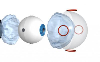 A Fluid-Suspension Electromagnetically Driven Eye with Video Capability for Animatronic Applications