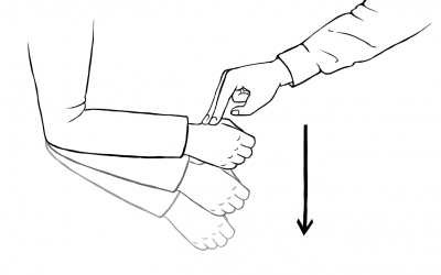 Antagonistic Muscle based Robot Control for Physical Interactions