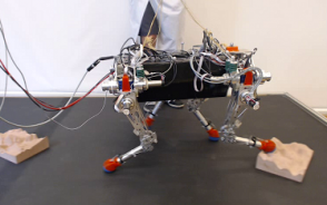 Control of Dynamic Gaits for a Quadrupedal Robot