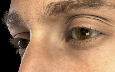 Detailed Spatio-Temporal Reconstruction of Eyelids