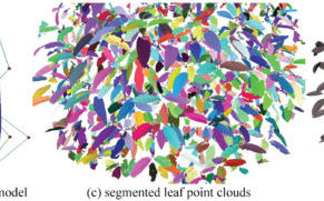 Editable Parametric Dense Foliage from 3D Capture