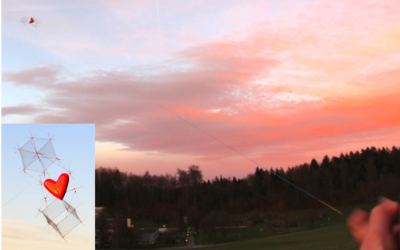 OmniAD: Data-driven Omni-directional Aerodynamics