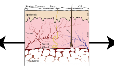 Recent Advances in Facial Appearance Capture