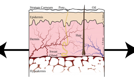 Recent Advances in Facial Appearance Capture