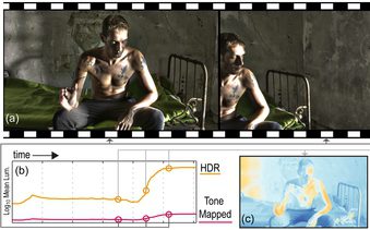 Temporally Coherent Local Tone Mapping of HDR Video