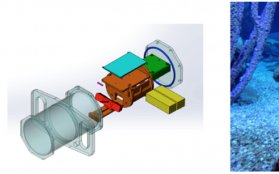Underwater 3D Capture using a Low-Cost Commercial Depth Camera