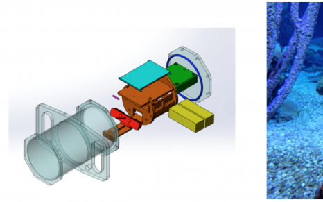 Underwater 3D Capture using a Low-Cost Commercial Depth Camera