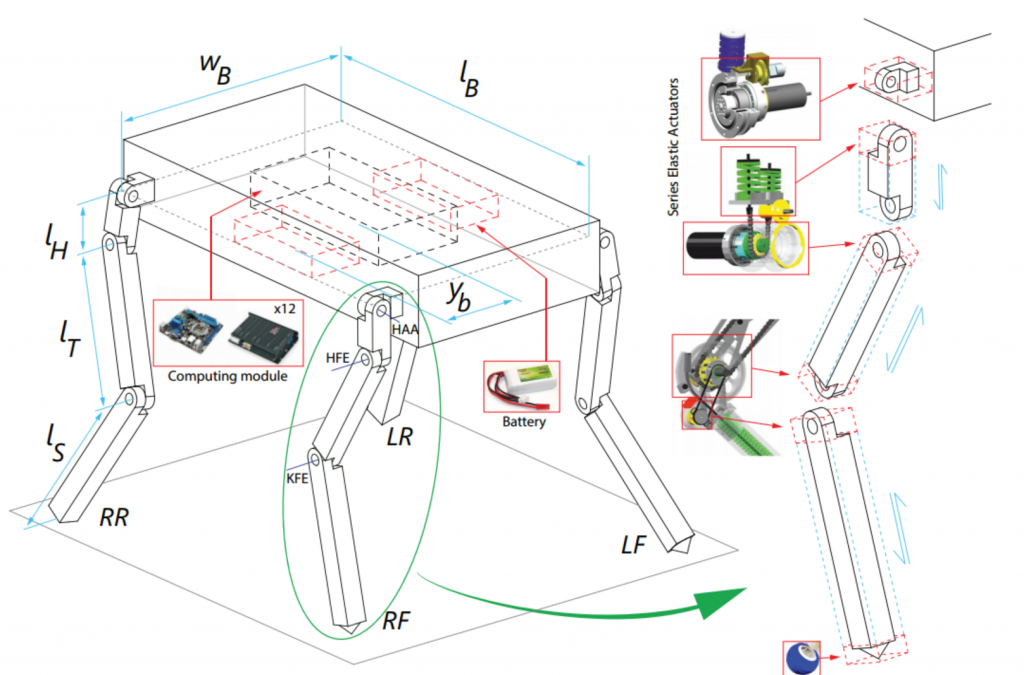 Concurrent Optimization of Mechanical Design and Locomotion Control of a Legged Robot