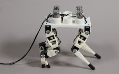 Joint Optimization of Robot Design and Motion Parameters using the Implicit Function Theorem