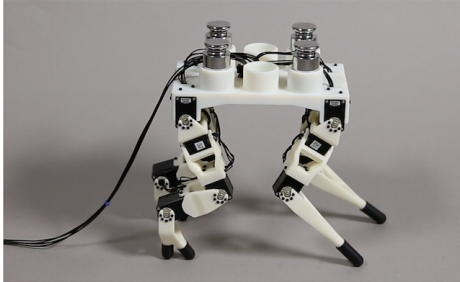 Joint Optimization of Robot Design and Motion Parameters using the Implicit Function Theorem
