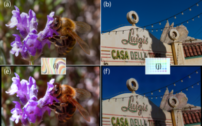 Practical Non-linear Photometric Projector Compensation