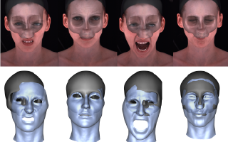 Rigid Stabilization of Facial Expressions