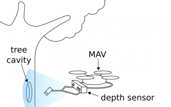 Tree Cavity Inspection Using Aerial Robots