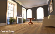 Image-Space Control Variates for Rendering