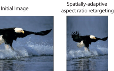 Spatially-Varying Image Warping: Evaluations and VLSI Implementations