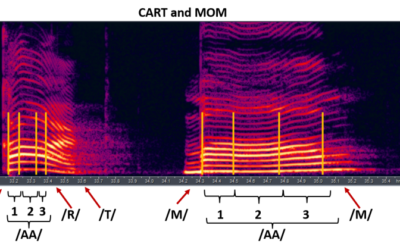 Estimation of Children’s Physical Characteristics from their Voices